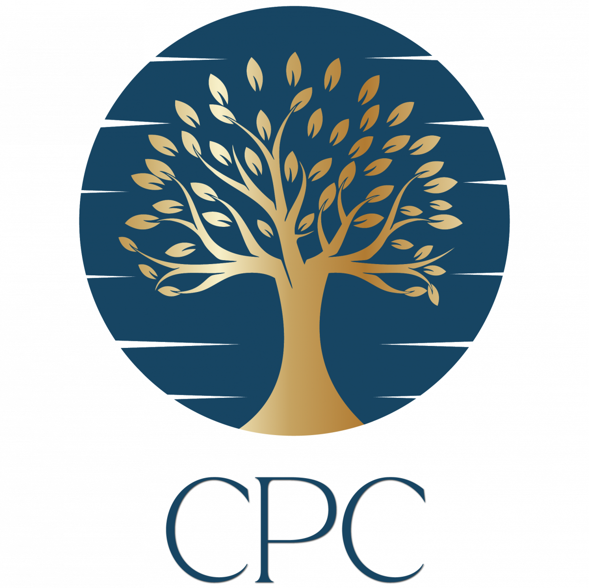 Logo minisite